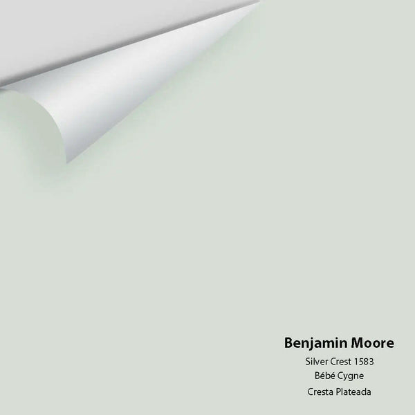 Benjamin Moore - Silver Crest 1583 Colour Sample