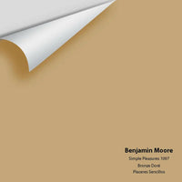 Big Paint Chip - Simple Pleasures 1097