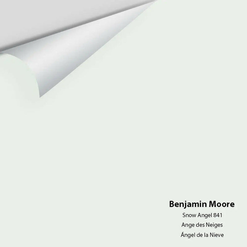 Big Paint Chip - Snow Angel 841