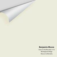 Big Paint Chip - Snow on the Mountain 1513
