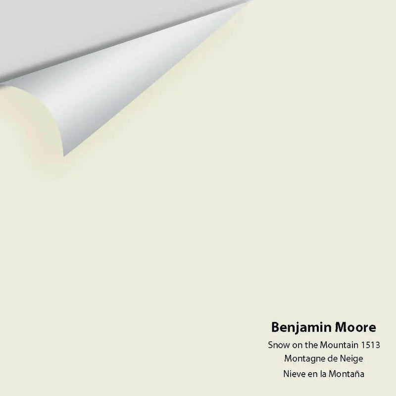Big Paint Chip - Snow on the Mountain 1513