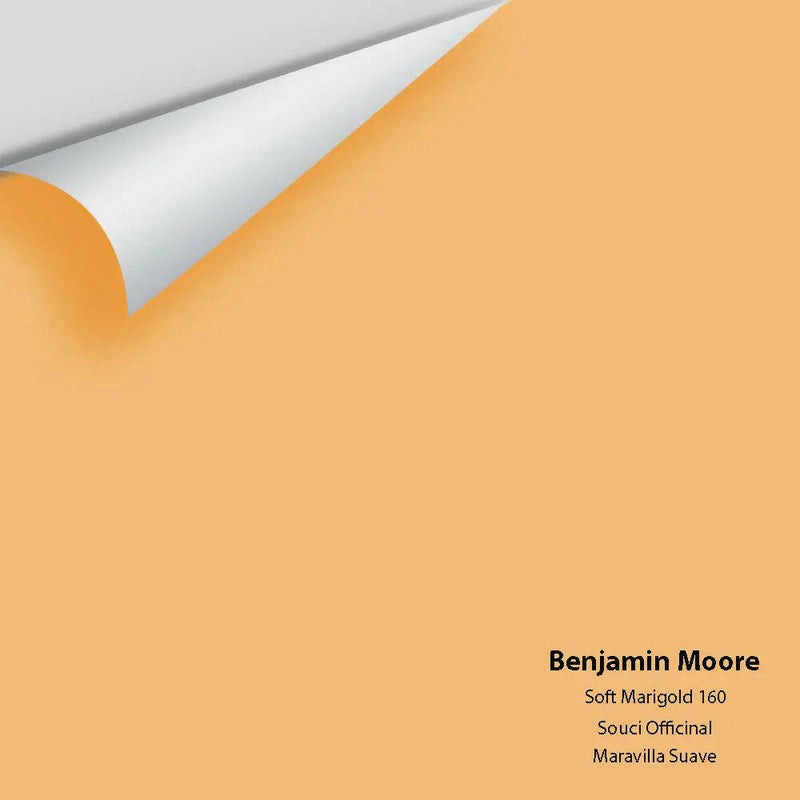Big Paint Chip - Soft Marigold 160