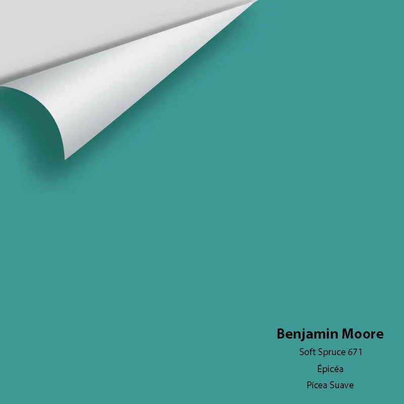 Big Paint Chip - Soft Spruce 671