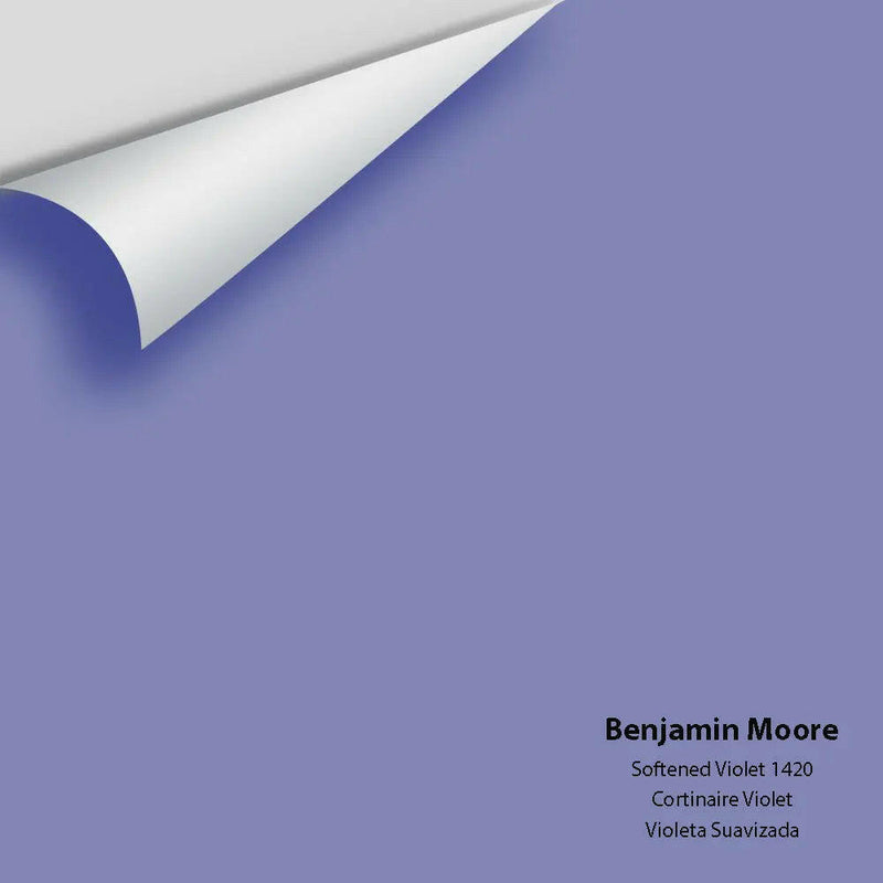 Big Paint Chip - Softened Violet 1420 - Colour Squared Inc.