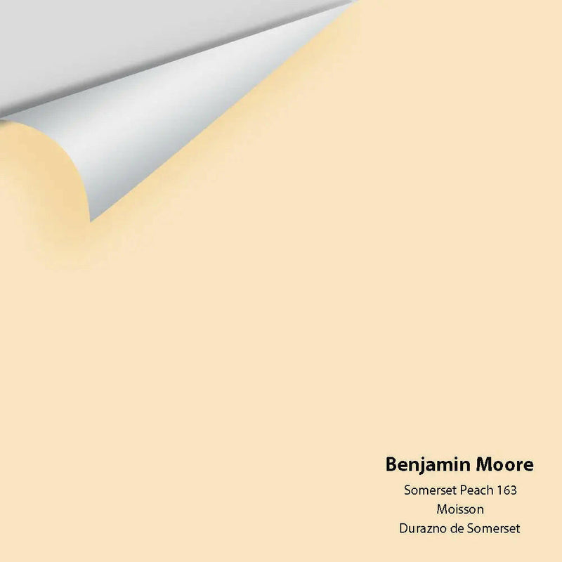 Big Paint Chip - Somerset Peach 163