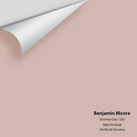 Big Paint Chip - Sonoma Clay 1242