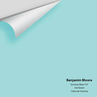 Big Paint Chip - Sonoma Skies 737