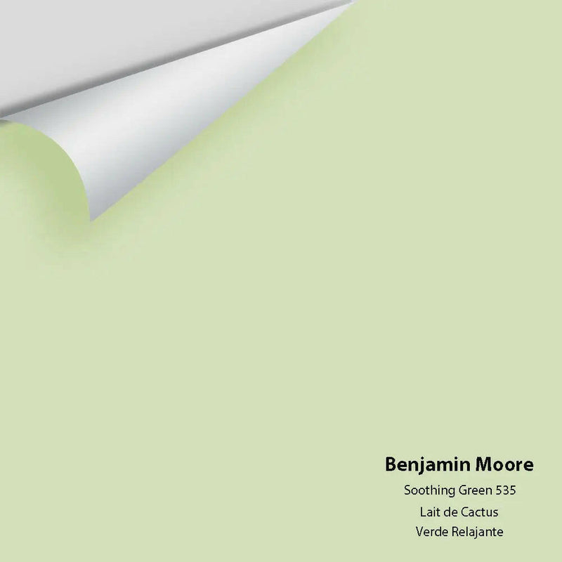 Big Paint Chip - Soothing Green 535