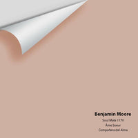 Big Paint Chip - Soul Mate 1179