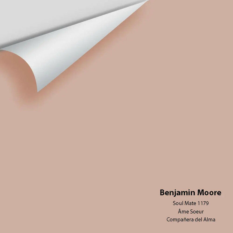 Big Paint Chip - Soul Mate 1179