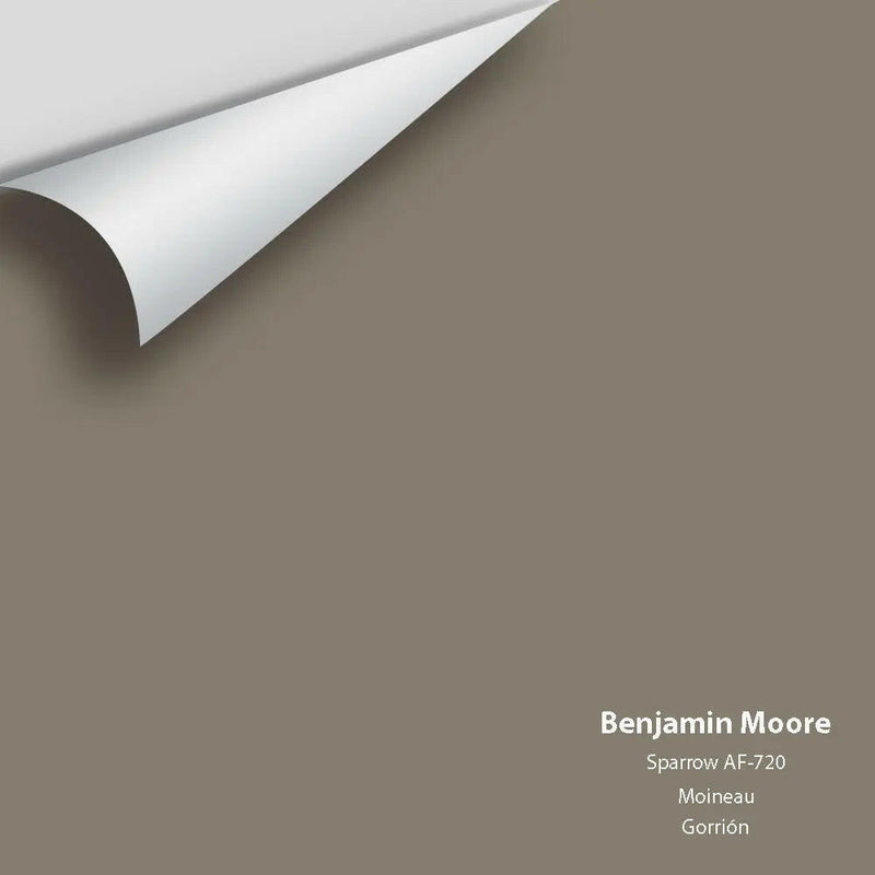 Big Paint Chip - Sparrow AF-720 Colour Sample