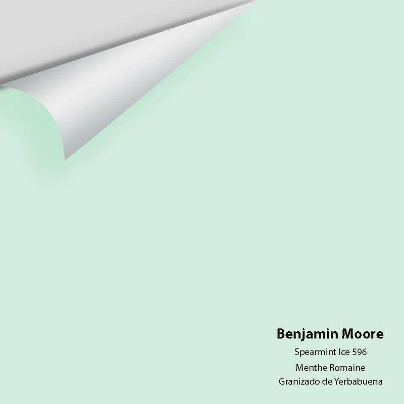 Big Paint Chip - Spearmint Ice 596
