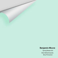Big Paint Chip - Spring Breeze 603