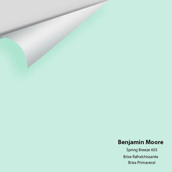 Big Paint Chip - Spring Breeze 603
