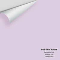 Big Paint Chip - Spring Lilac 1388 - Colour Squared Inc.