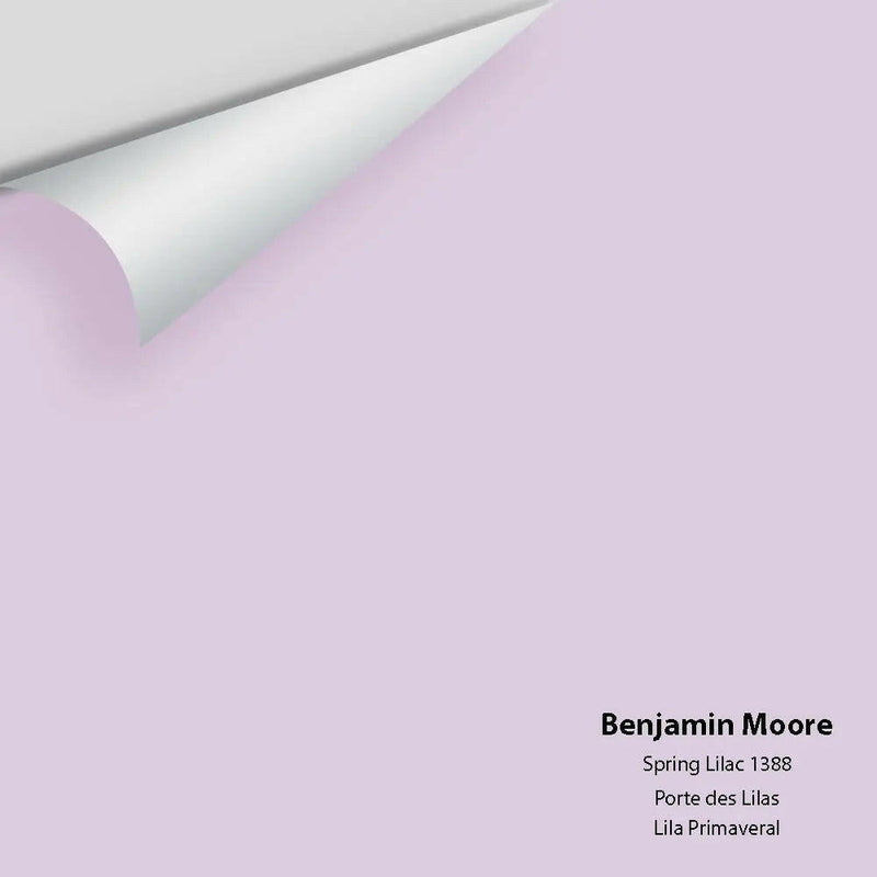 Big Paint Chip - Spring Lilac 1388 - Colour Squared Inc.