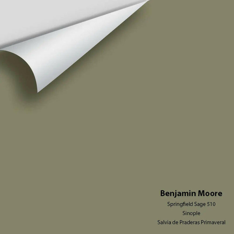 Big Paint Chip - Springfield Sage 510