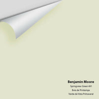 Big Paint Chip - Springview Green 491