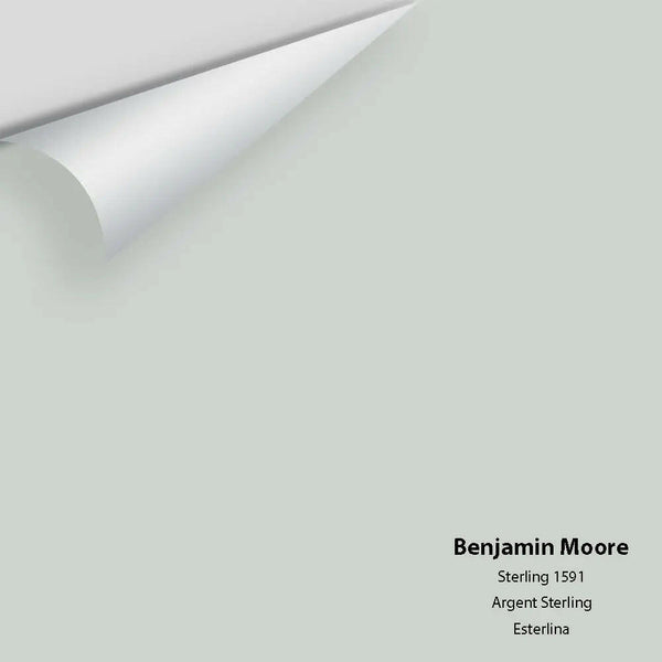 Benjamin Moore - Sterling 1591 Colour Sample