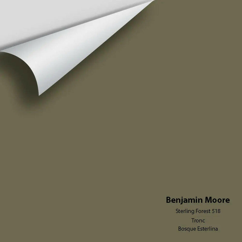 Big Paint Chip - Sterling Forest 518