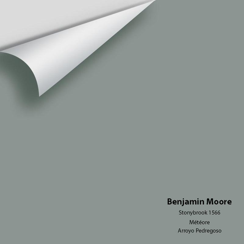 Benjamin Moore - Stonybrook 1566 Colour Sample - Colour Squared Inc.