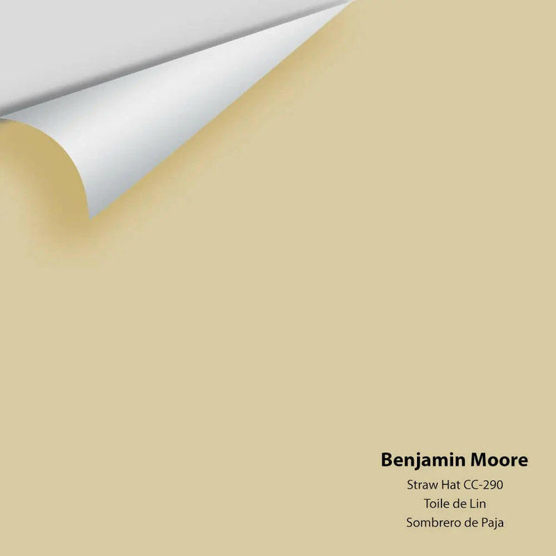 Big Paint Chip - Straw Hat 270 / CC-290 Colour Sample