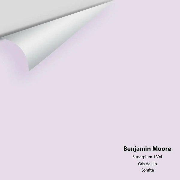 Big Paint Chip - Sugarplum 1394 - Colour Squared Inc.