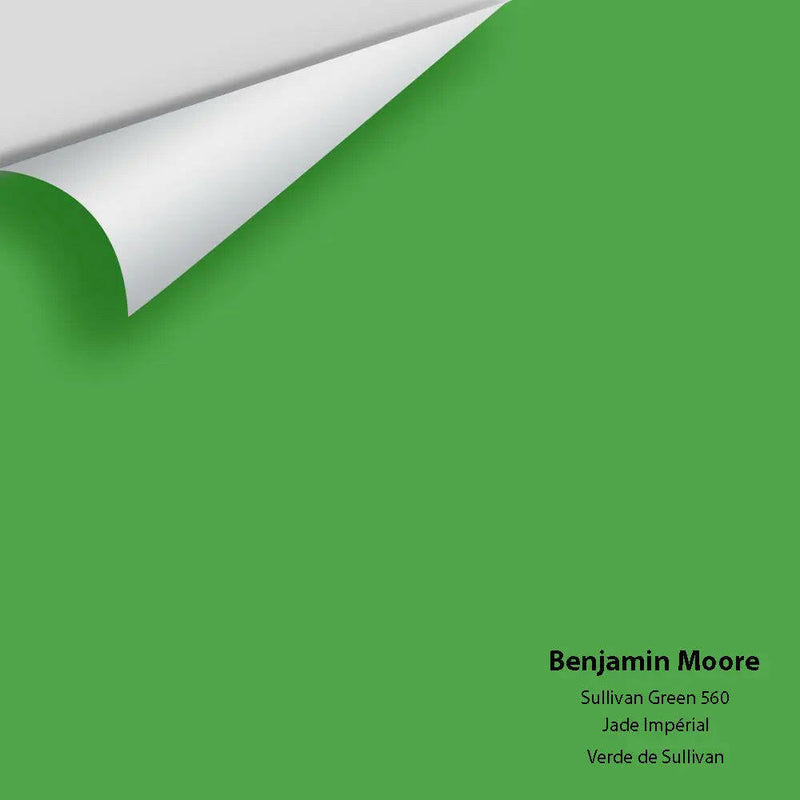 Big Paint Chip - Sullivan Green 560