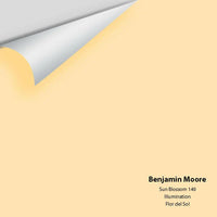 Big Paint Chip - Sun Blossom 149