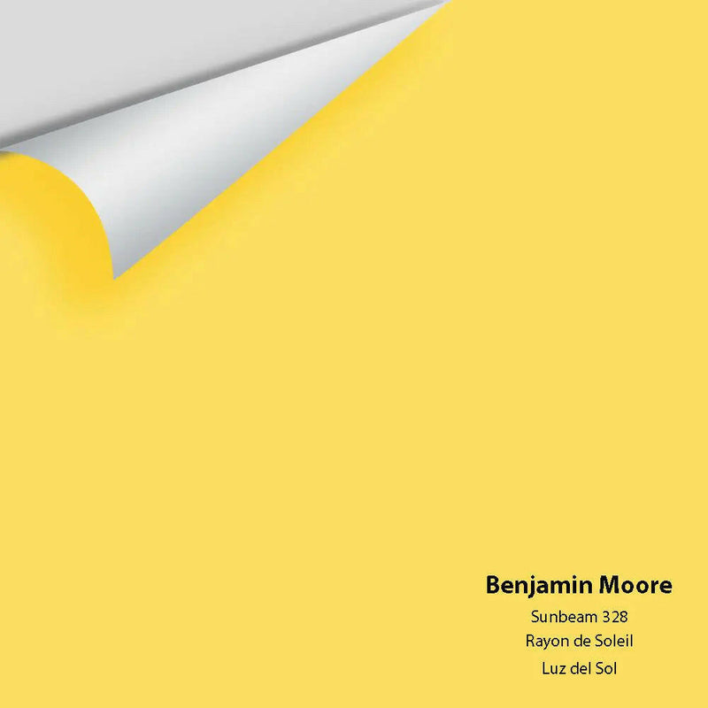 Big Paint Chip - Sunbeam 328