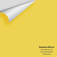 Big Paint Chip - Sunny Afternoon 356
