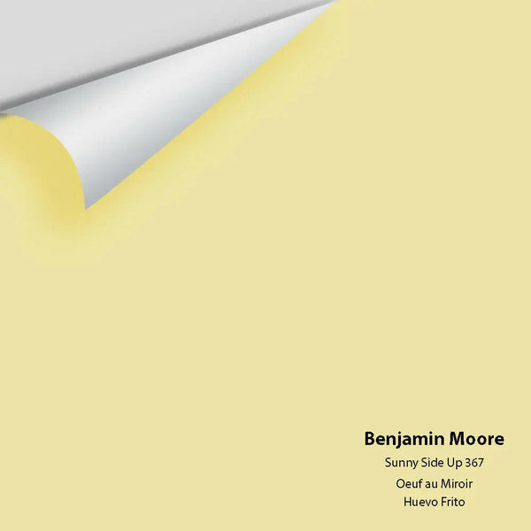 Big Paint Chip - Sunny Side Up 367