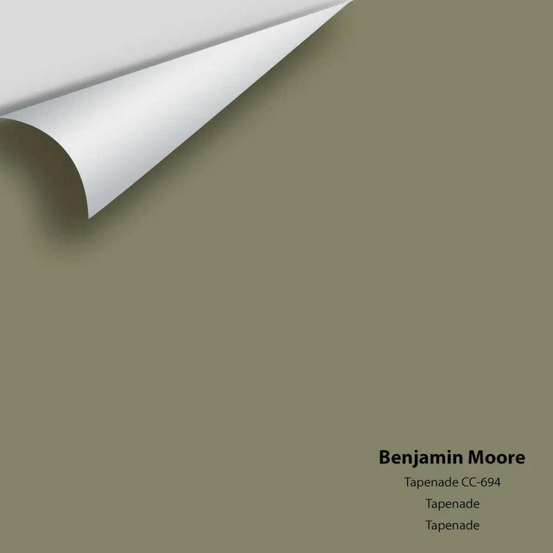 Big Paint Chip - Tapenade CC-694