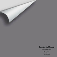 Big Paint Chip - Tempest AF-590 - Colour Squared Inc.