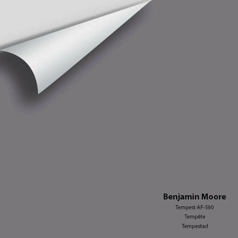Big Paint Chip - Tempest AF-590 - Colour Squared Inc.