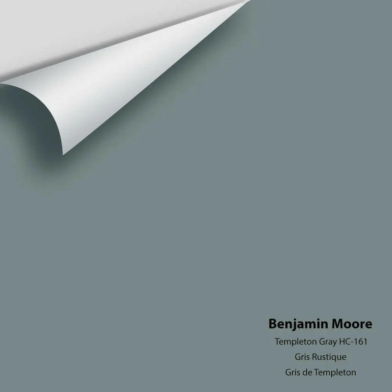 Big Paint Chip - Templeton Gray HC-161