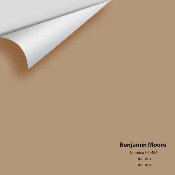 Big Paint Chip - Tiramisu CC-486
