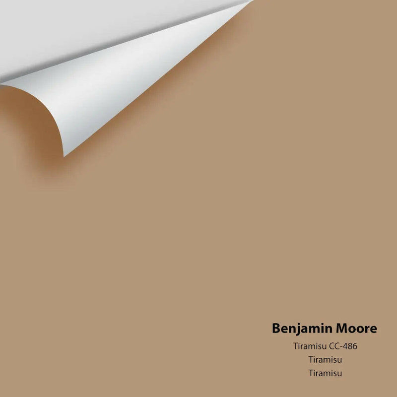 Big Paint Chip - Tiramisu CC-486