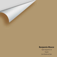Big Paint Chip - Tyler Taupe HC-43