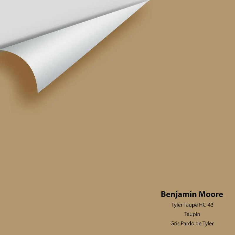 Big Paint Chip - Tyler Taupe HC-43