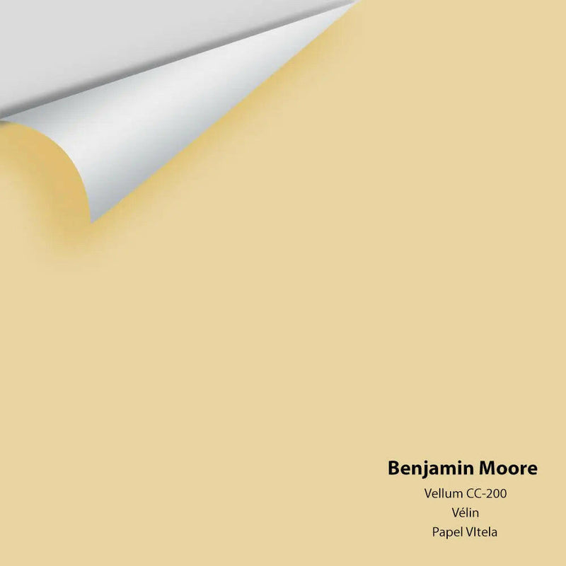 Big Paint Chip - Vellum 207 / CC-200