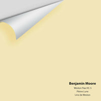 Big Paint Chip - Weston Flax HC-5