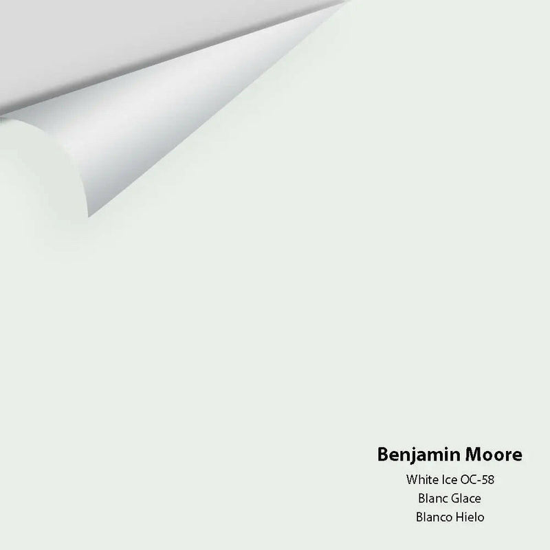 Benjamin Moore - White Ice 2139-70 / OC-58 Colour Sample