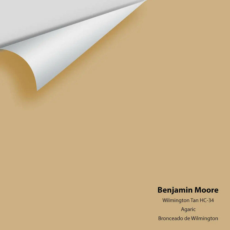 Big Paint Chip - Wilmington Tan HC-34
