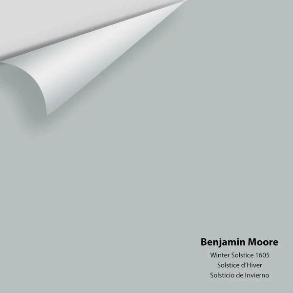 Benjamin Moore - Winter Solstice 1605 Colour Sample