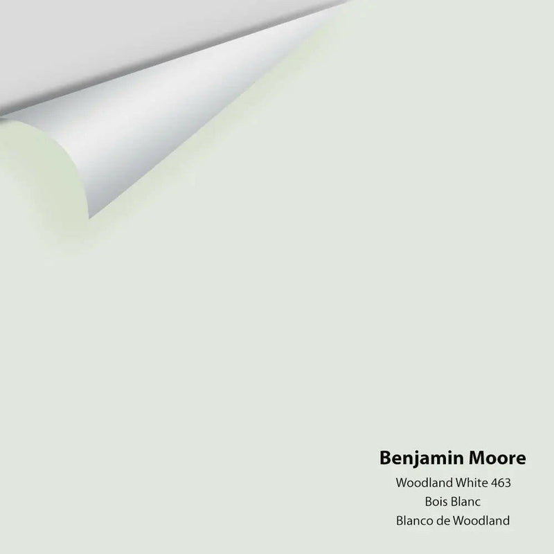 Benjamin Moore - Woodland White 463 Colour Sample