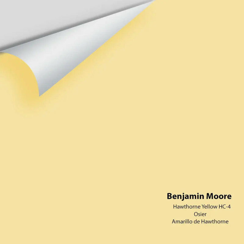 Benjamin Moore - Hawthorne Yellow HC-4 Colour Sample