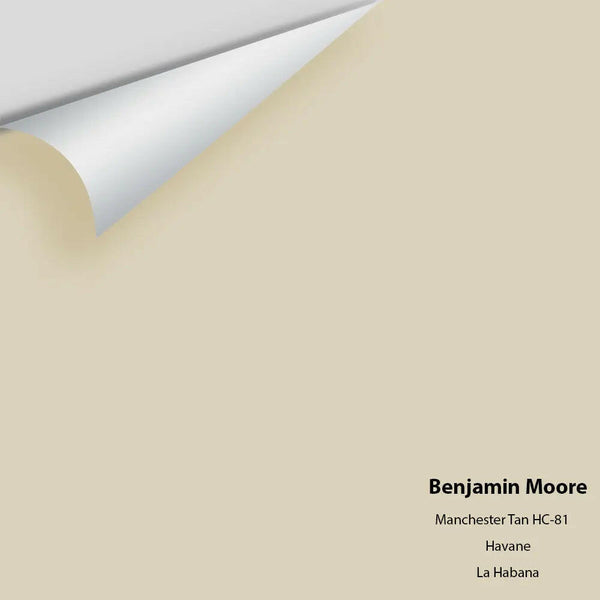 Benjamin Moore - Manchester Tan HC-81 Colour Sample