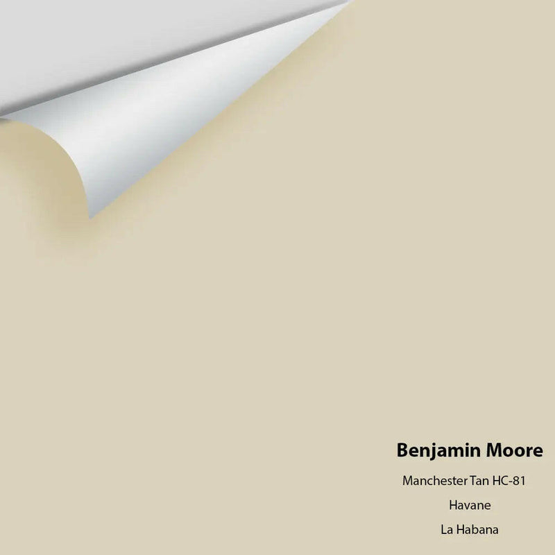 Benjamin Moore - Manchester Tan HC-81 Colour Sample